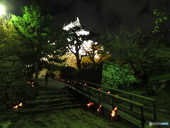 竹燈夜 in 和歌山城8