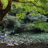 南禅寺２