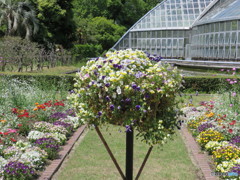植物園１０