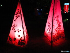 竹燈夜 in 和歌山城6