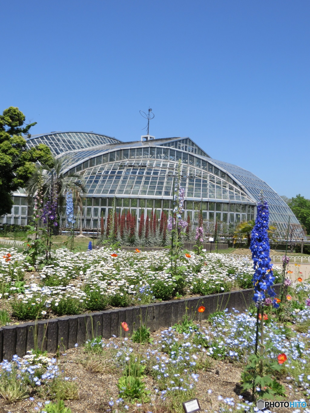 植物園６