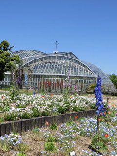 植物園６