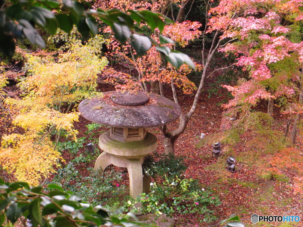 北野天満宮　紅葉苑３９