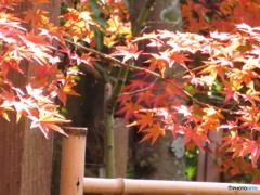 大法院１９