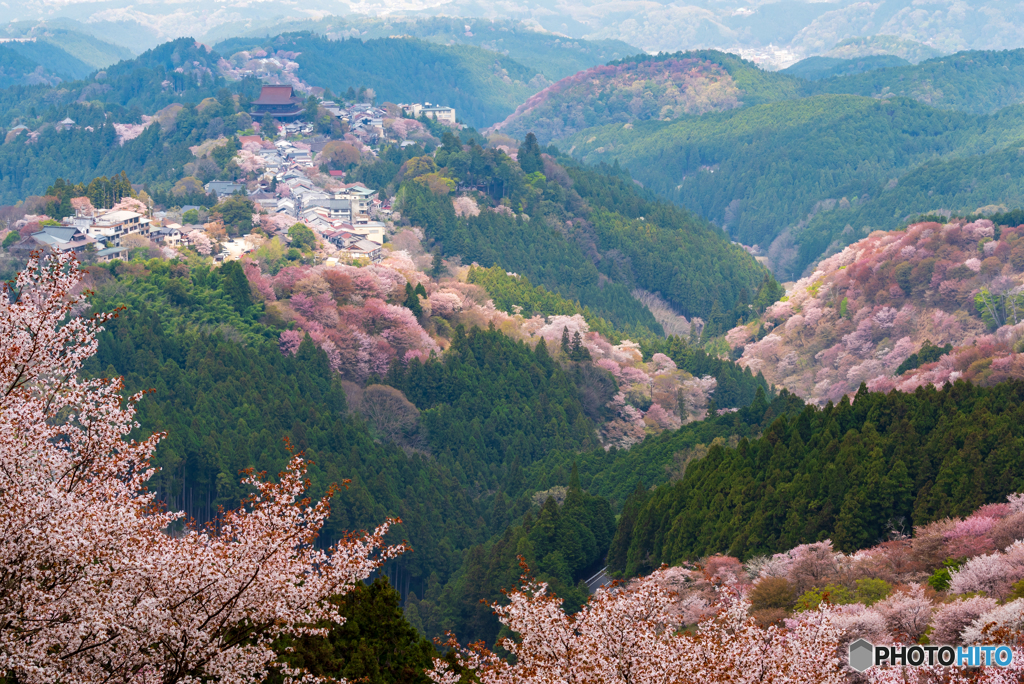 吉野山 (8)