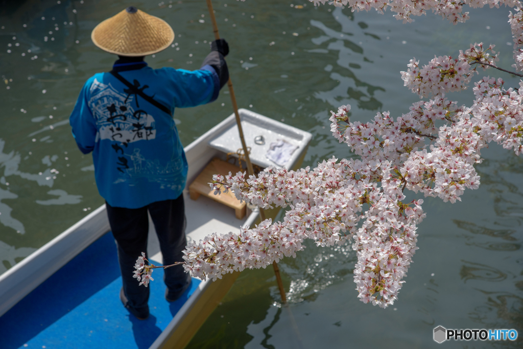 水門川