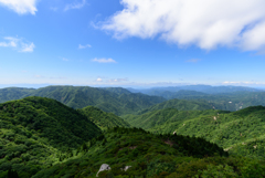 一面の緑、飛び込みたい。