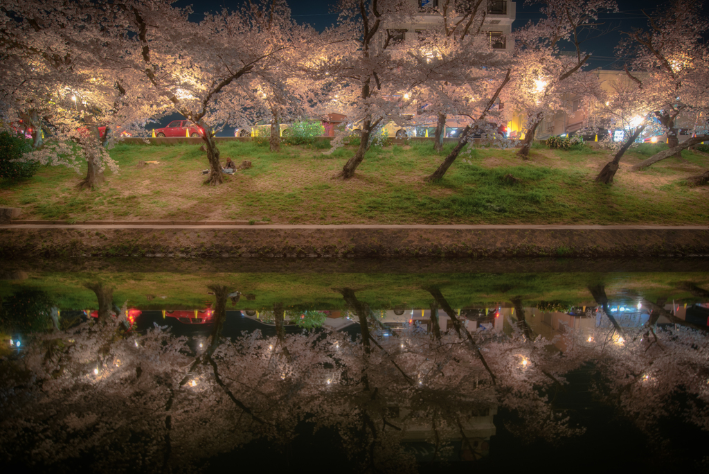 SAKURA Reflection #1