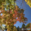 談山神社
