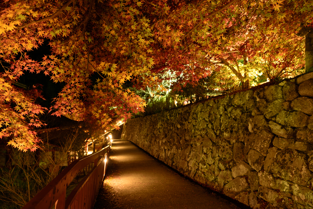 談山神社 #9