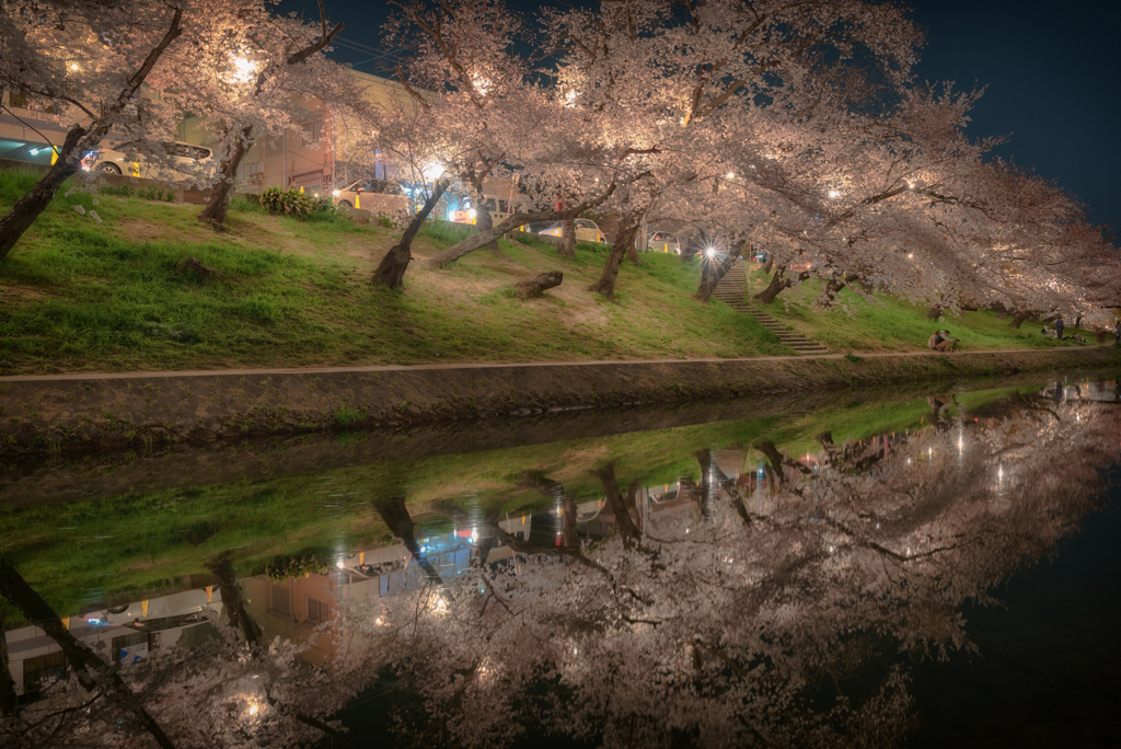 SAKURA Reflection #2