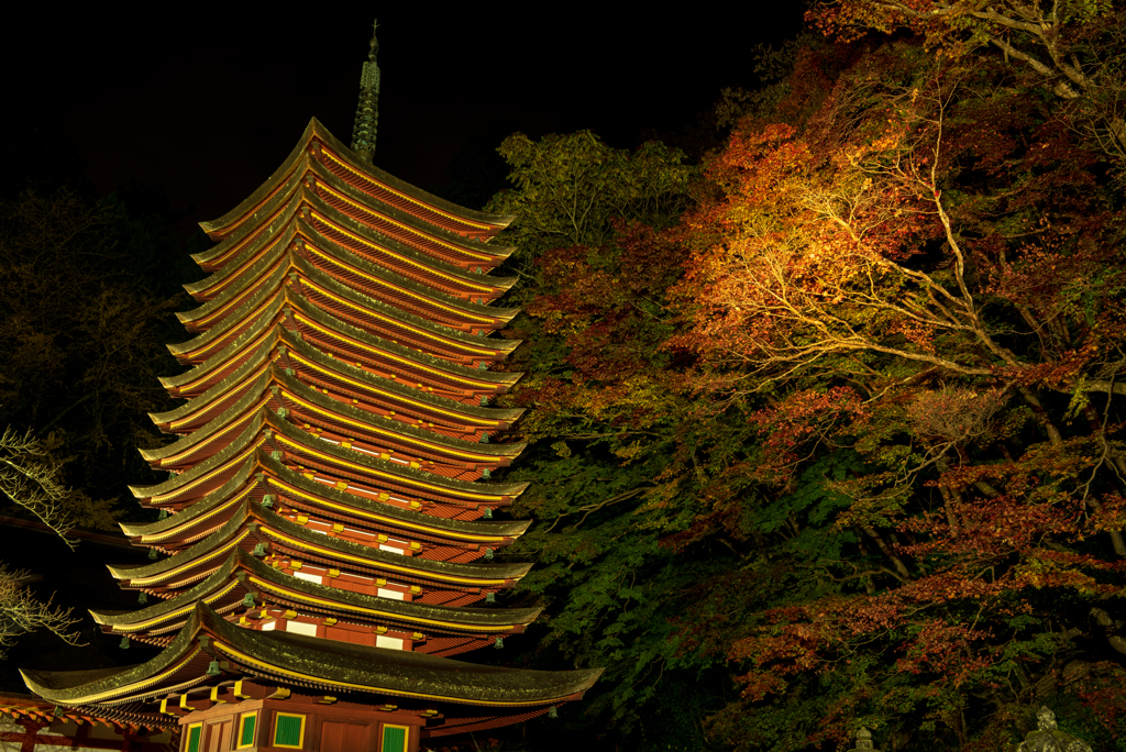 談山神社 #6