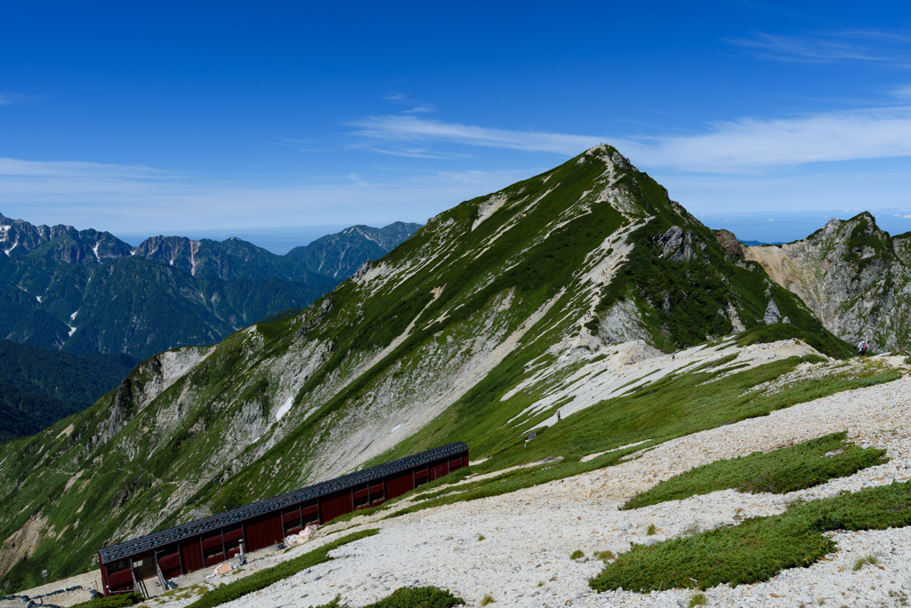 山頂を望む
