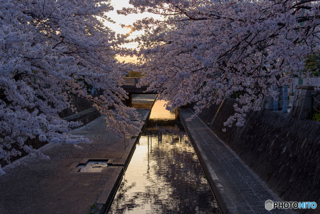 四季の広場 (夕暮れ) (2)