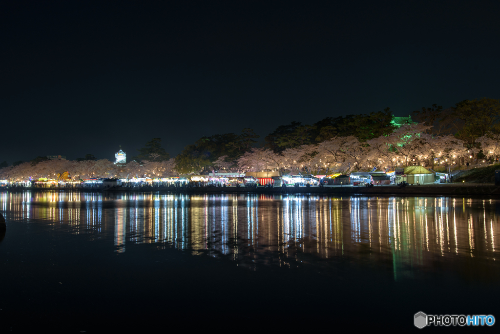 岡崎公園 夜桜 (5)