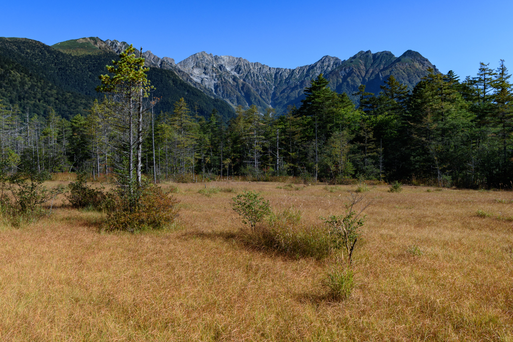 田代湿原