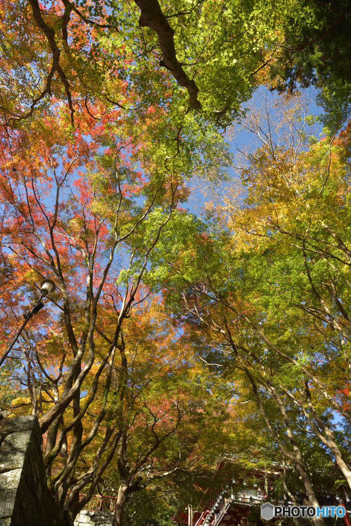 談山神社