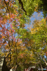 談山神社