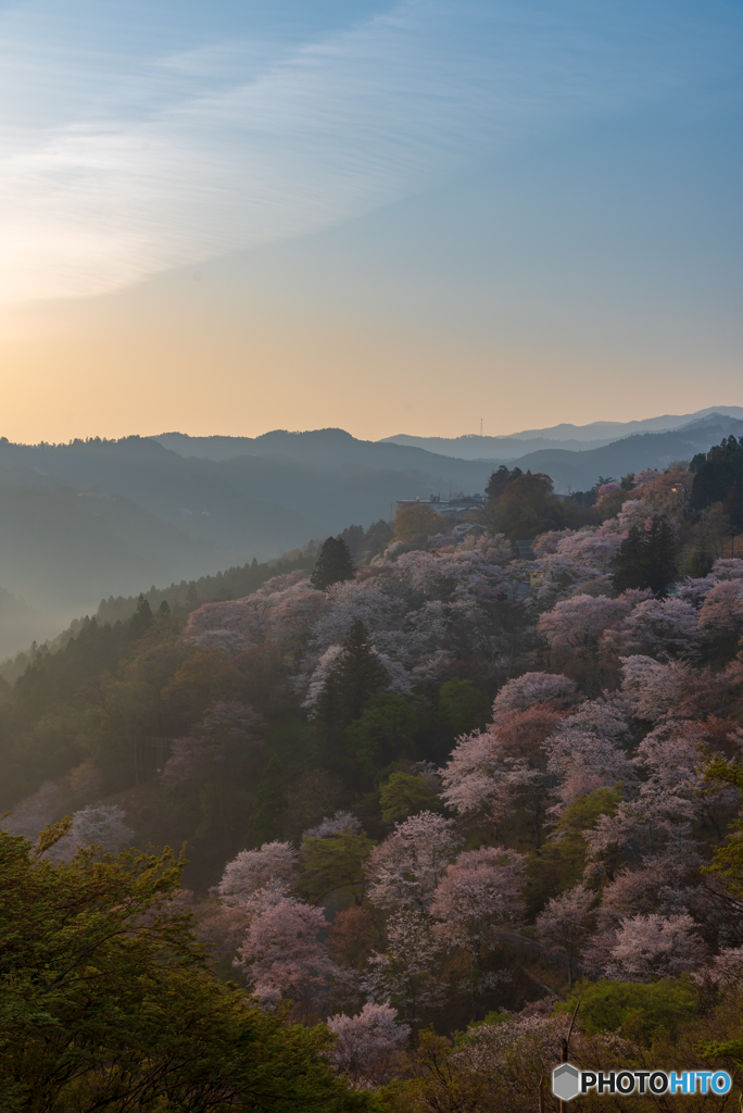 吉野山 (2)