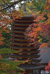 談山神社