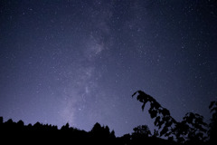 裏庭の天津星