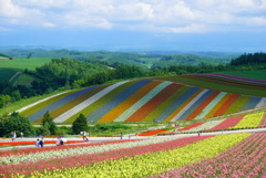 虹色の花畑