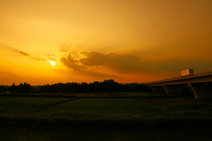 夕日