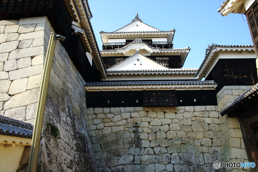 NIS_1046