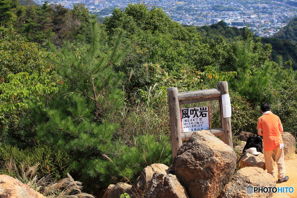 ロックガーデン