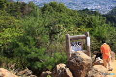 ロックガーデン