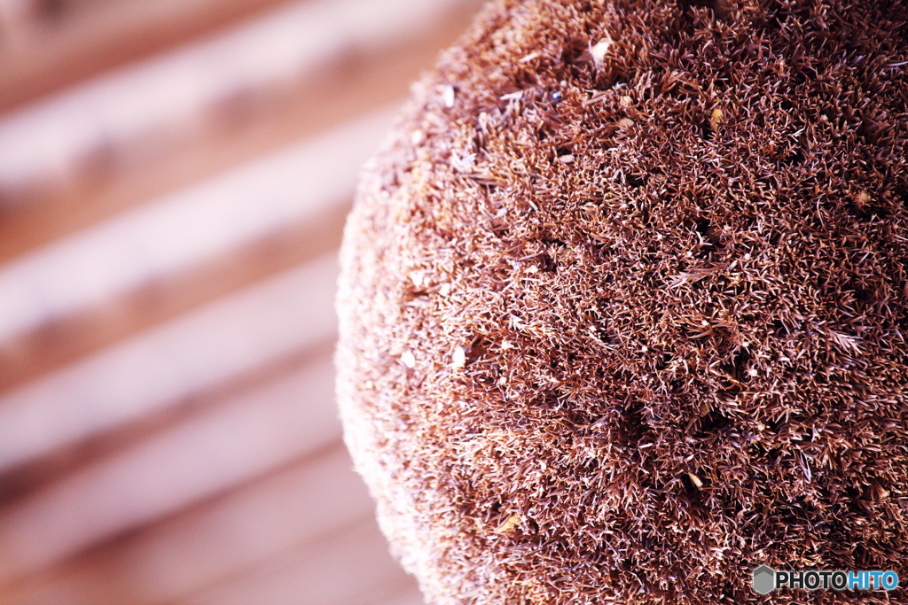 奈良キャンプ場