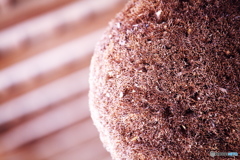 奈良キャンプ場