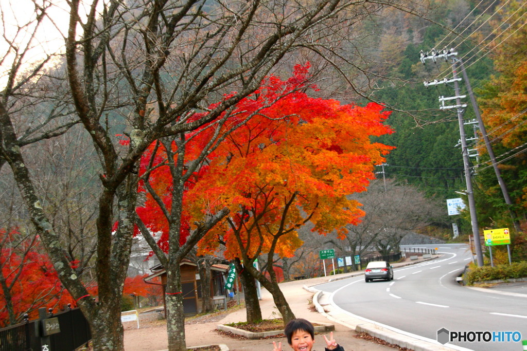 京都紅葉