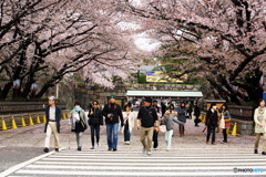 名古屋城