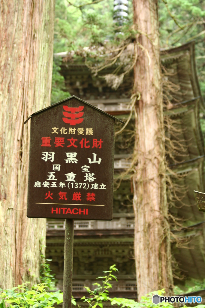 羽黒山ﾄﾚｯｷﾝｸﾞ