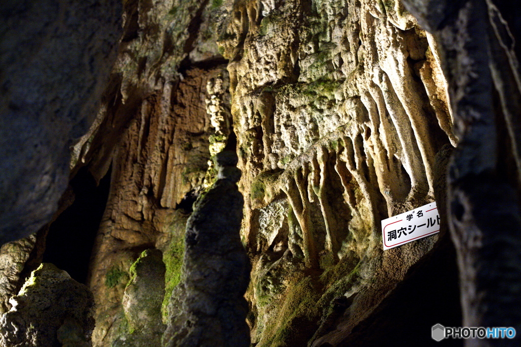 飛騨大鐘乳銅_2009-09-22_0241