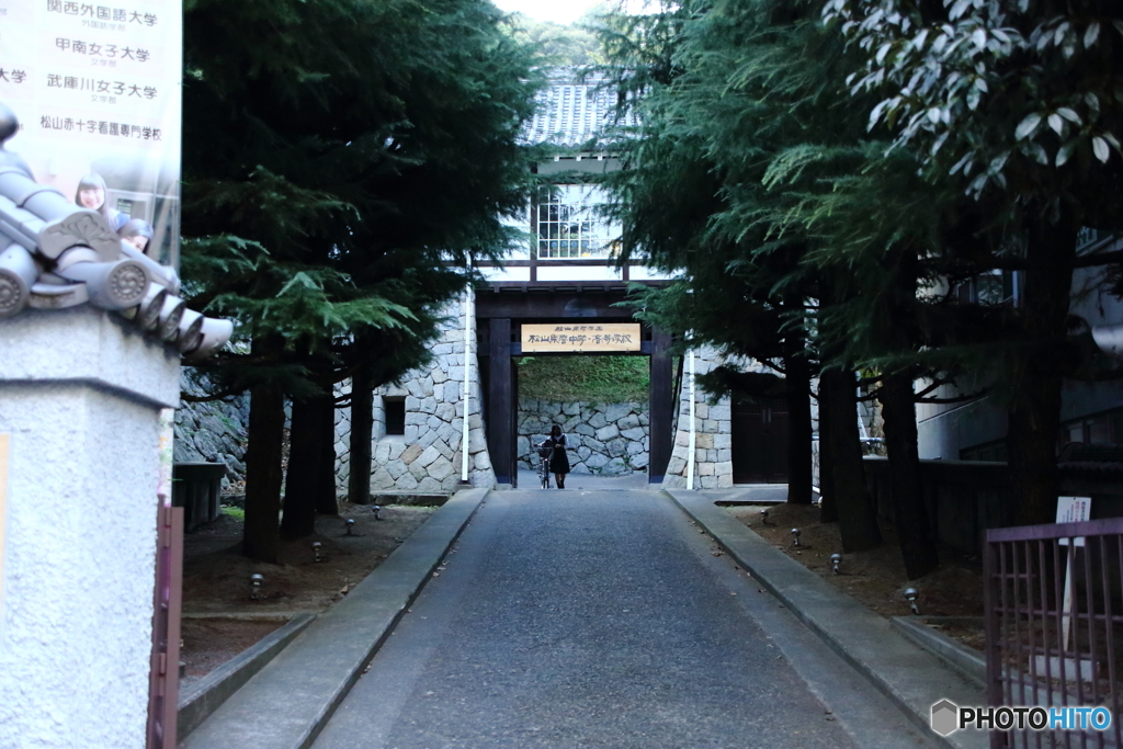 NIS_1146