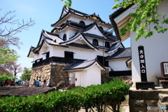 LEN_4558