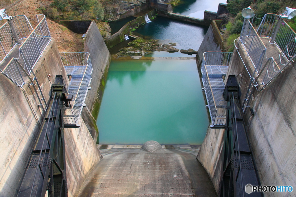 大野ダム桜まつり