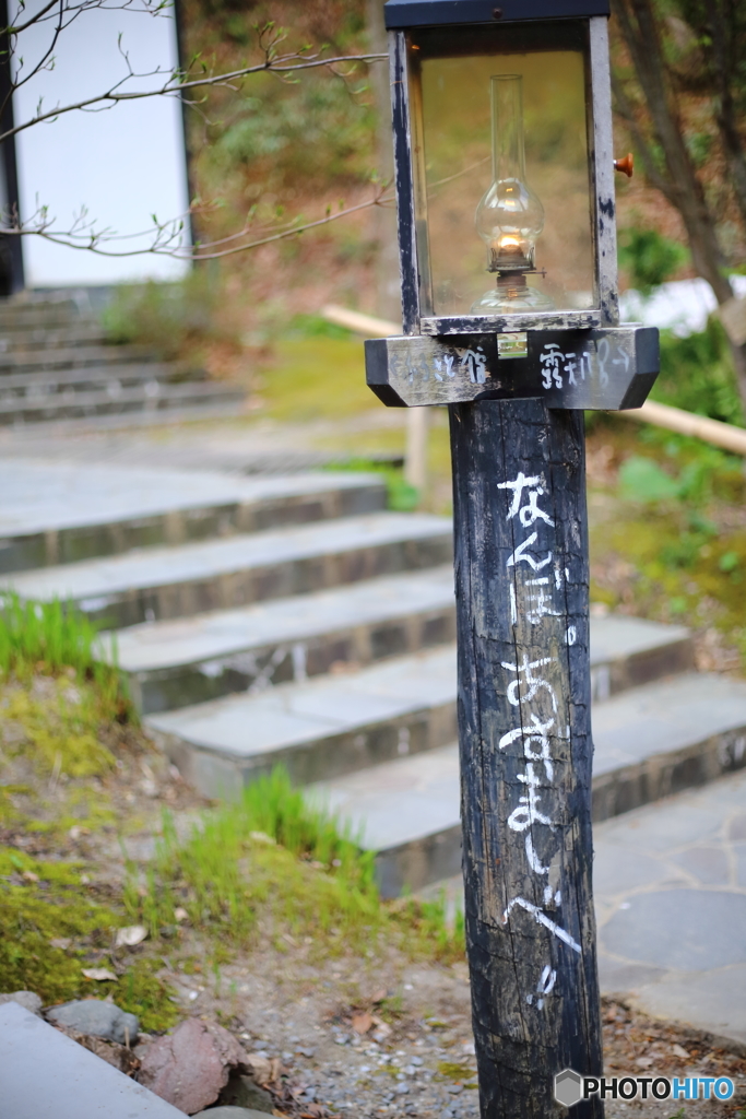 NIS_3019