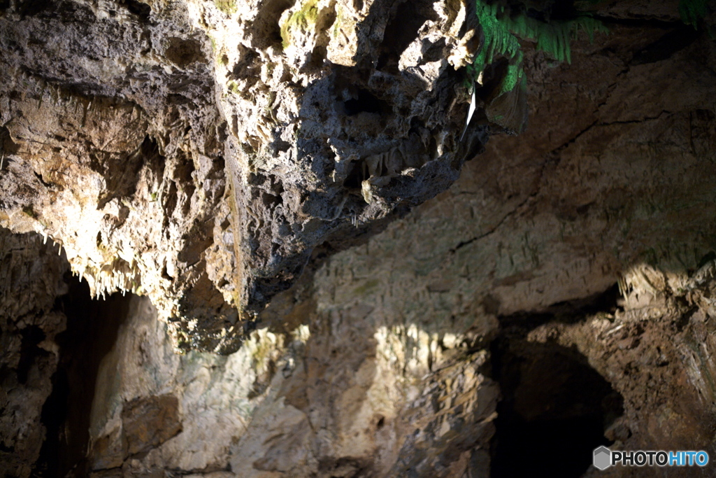 飛騨大鐘乳銅_2009-09-22_0233