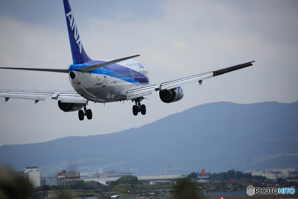 NIS_6568