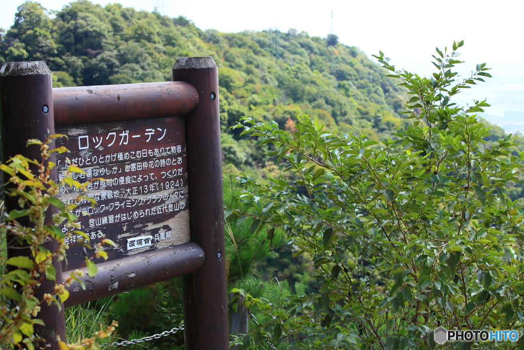 ロックガーデン
