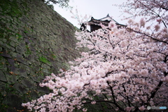 LEN_4098