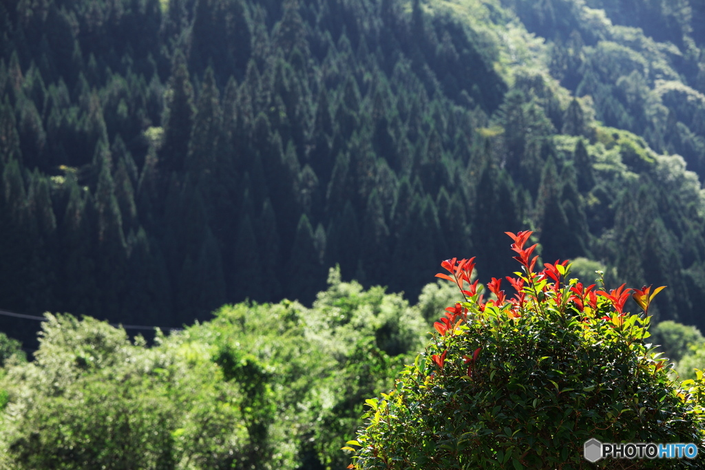 奥飛騨温泉郷_2009-09-20_0007