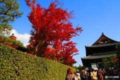 東福寺紅葉_20071201_009