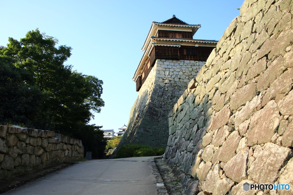 NIS_1134