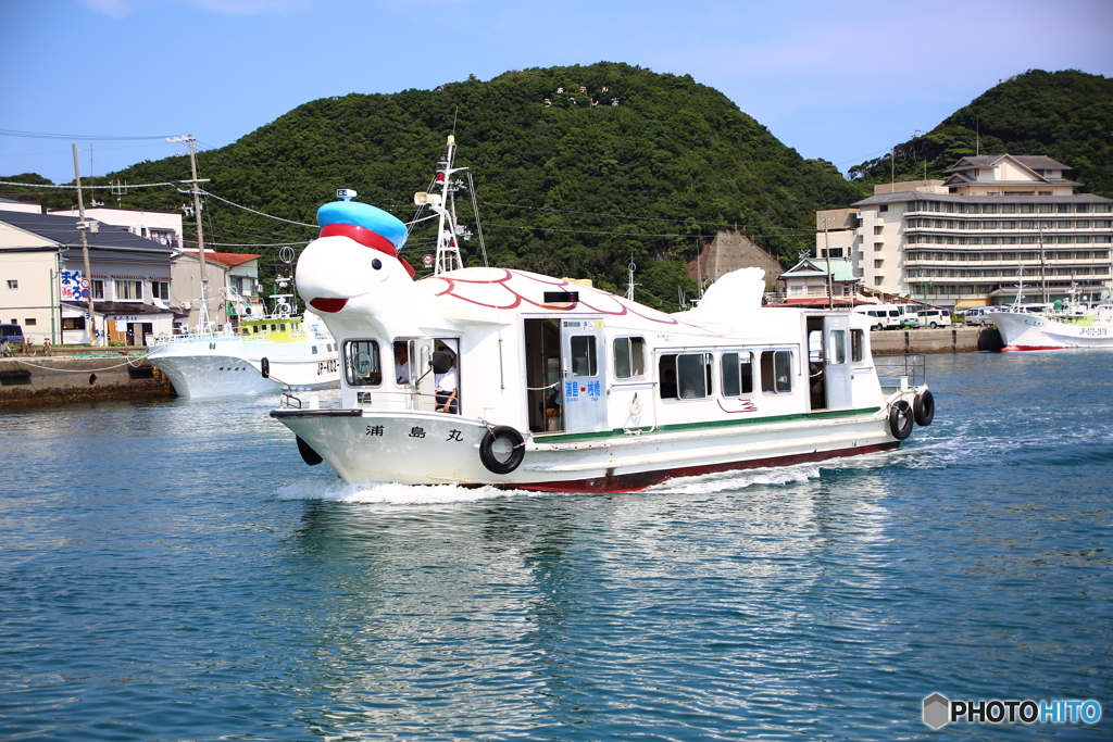 NIS_5987