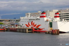 大阪南港からサンフラワー