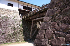 LEN_4533
